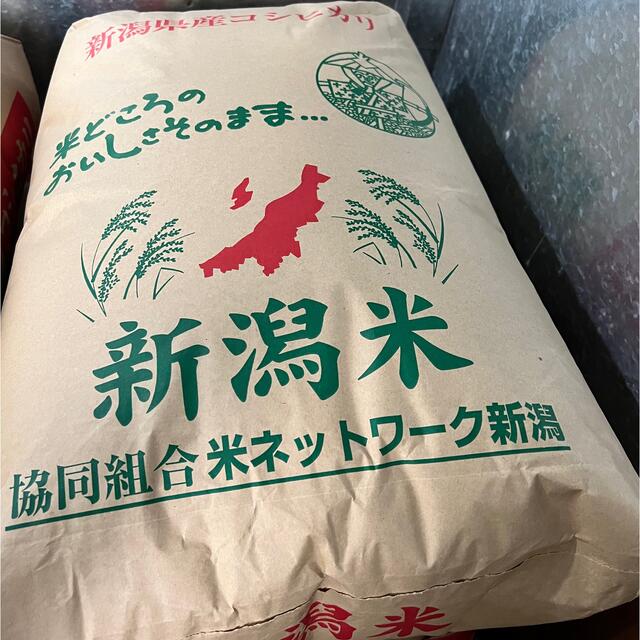 新潟県産コシヒカリ30kg令和3年（2021年)　米/穀物