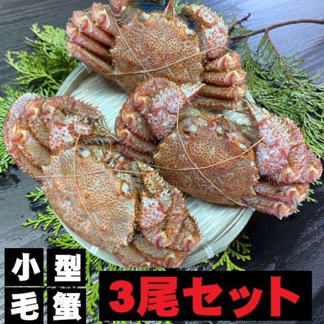 毛蟹　カニ　毛ガニ　3尾セット　北海道産　（1尾約250g）冷凍　小型毛蟹　魚介