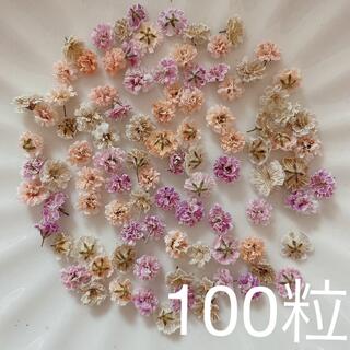 (04)かすみ草ドライフラワー100粒(各種パーツ)