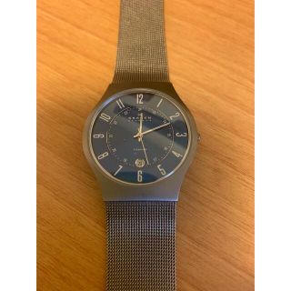 スカーゲン(SKAGEN)のSKAGEN スカーゲン　233XLTTN(腕時計(アナログ))