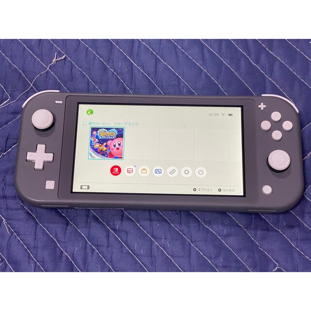 本体のみ (290) 動作確認済 Switch Lite グレー