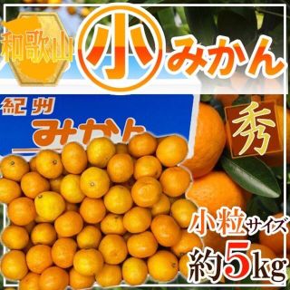 和歌山県産　〇小みかん　小粒　約5㎏　秀品(フルーツ)