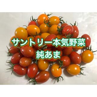 農家直送☆ミニトマト純あま他☆約850gネコポス ブランド野菜(野菜)