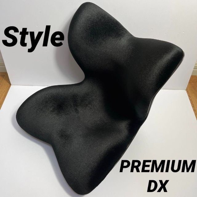 Style PREMIUM DX スタイルプレミアムデラックス