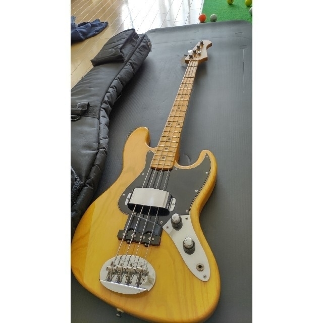 有名人芸能人】 エレキベース LAKLAND SL44-60 エレキベース ...