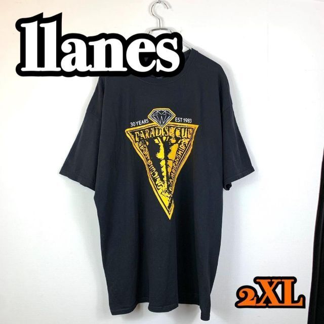 ヘインズ US ダイアプリント オーバーサイズ Tシャツ ゆるだぼ ...