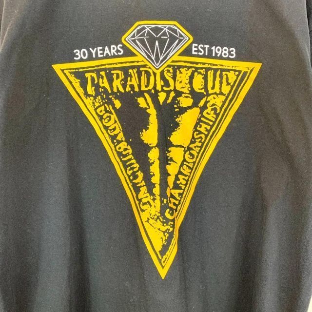 ヘインズ US ダイアプリント オーバーサイズ Tシャツ ゆるだぼ ...