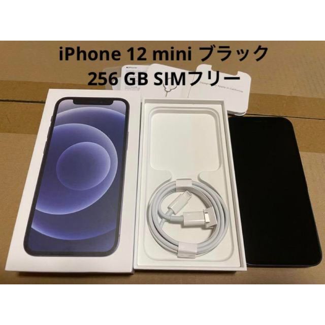 iPhone 12 mini ブラック 256 GB SIMフリー　レザーケース