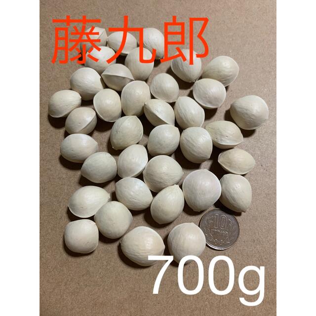 銀杏 ぎんなん700g藤九郎 食品/飲料/酒の食品(野菜)の商品写真