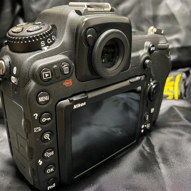 Nikon D500