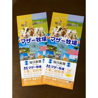 ’23.１/ 31 迄 ◇ 千葉県 マザー牧場 ◇ 入園券２枚セットです！(動物園)