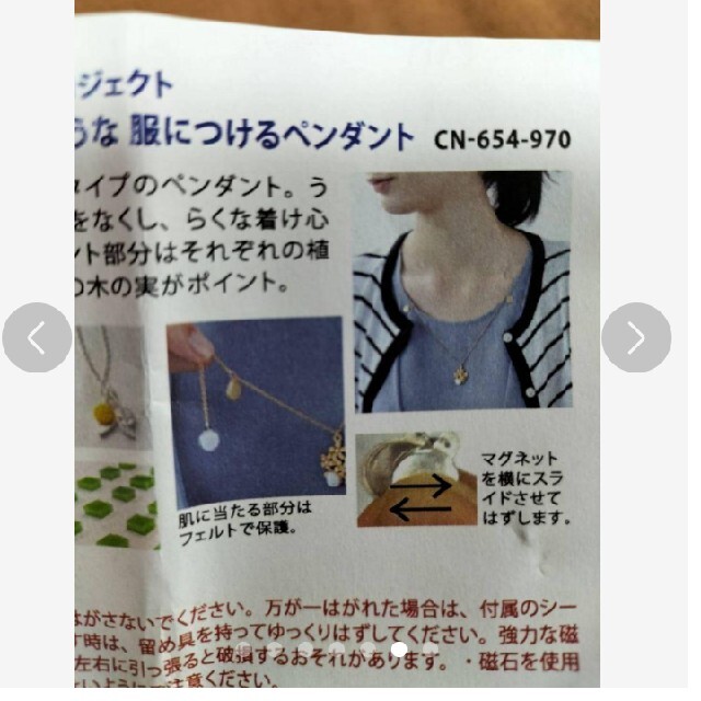 FELISSIMO(フェリシモ)の木の実をガラスにとじ込めたような 服につけるペンダント　ラピスラズリ風 レディースのアクセサリー(ネックレス)の商品写真