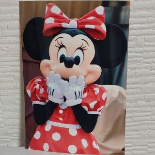 ディズニー(Disney)のジャンボリミッキー　ディズニーリゾート　ミニー　写真　フォト　プロマイド　③(キャラクターグッズ)