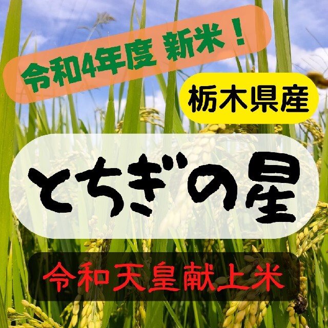 令和4年度 新米 とちぎの星 献上米 10キロ 食品/飲料/酒の食品(米/穀物)の商品写真