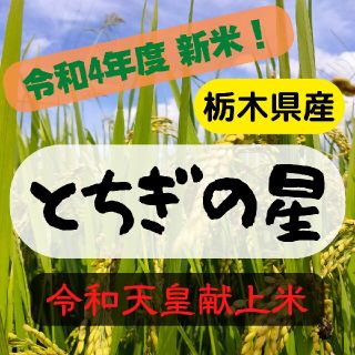 令和4年度 新米 とちぎの星 献上米 10キロ(米/穀物)