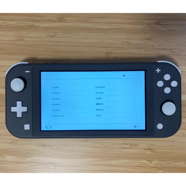 Nintendo Switch Lite グレー ケース、カバー付き