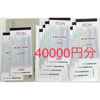 イオン(AEON)のイオン グループ 株主優待券 4万円分 マックスバリュ 他(ショッピング)