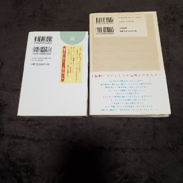 本２冊セット面倒くさがりやのあなたがうまくいく５５の法則 エンタメ/ホビーの本(その他)の商品写真