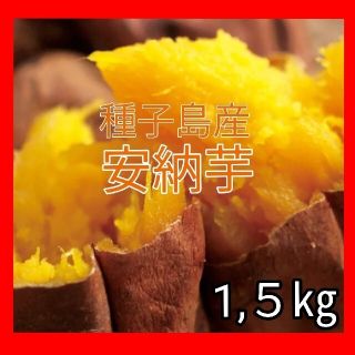 安納芋 さつまいも 種子島産 蜜芋　1.5㎏　新鮮 野菜 送料無料(野菜)