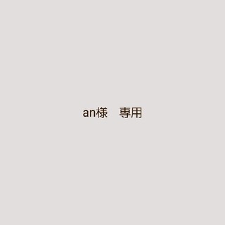 an様　専用ページです(その他)