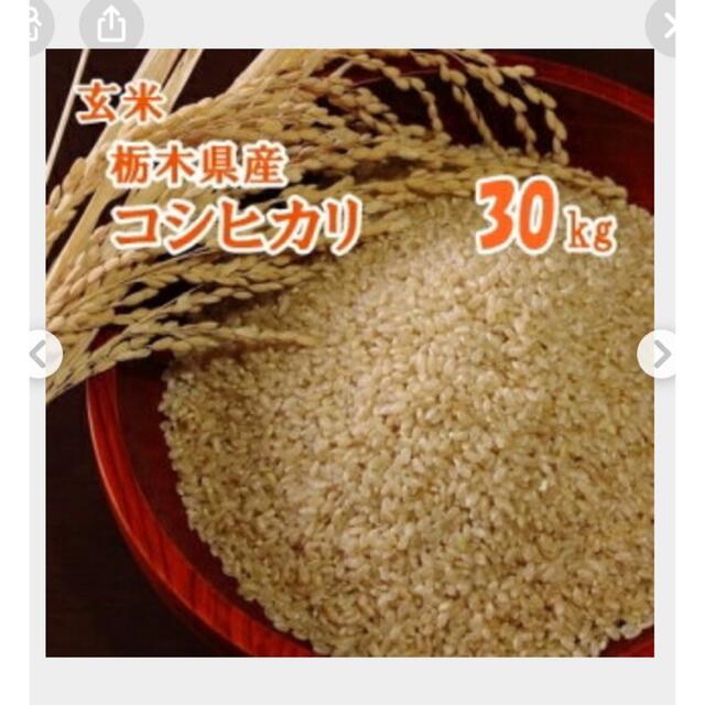 令和4年栃木県産コシヒカリ30キロ玄米食品