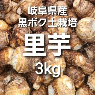 14 岐阜県産 無農薬 ねっとり 里芋 3kg 堀り立て発送！(野菜)