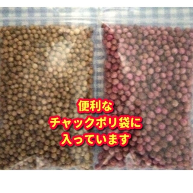 パクチー種・各種10g【合計約2000粒】★違いを楽しむ・本場ベトナム産 食品/飲料/酒の食品(野菜)の商品写真