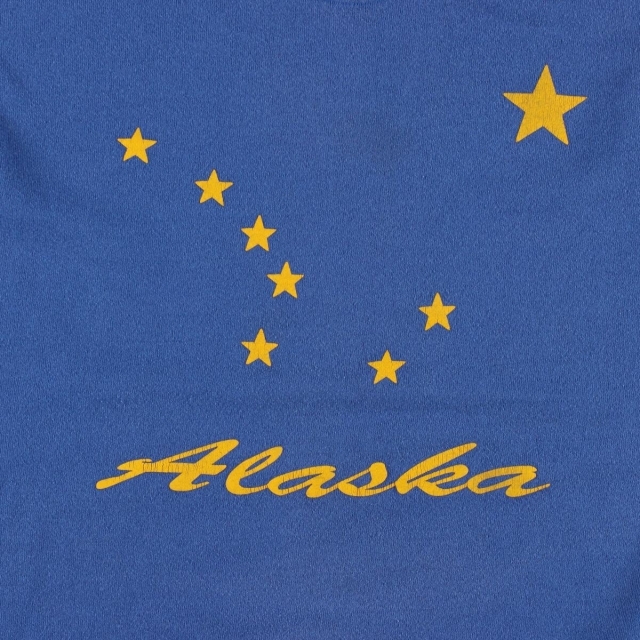 ジャージーズ　USA製　スウェット　トレーナー　アラスカ　刺繍ロゴ　Lサイズ