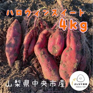 新物 ハロウィンスイート4kg(野菜)