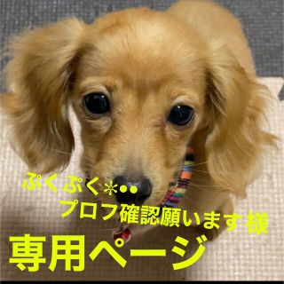 ぷくぷく✼•• プロフ確認願います様専用ページ(犬)