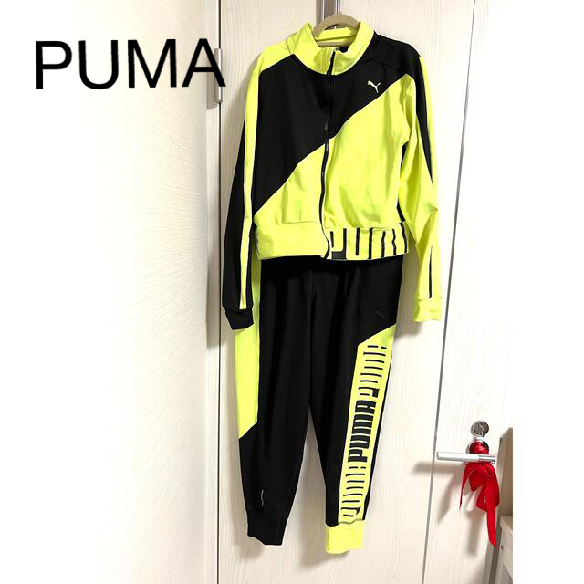 PUMAセットアップ