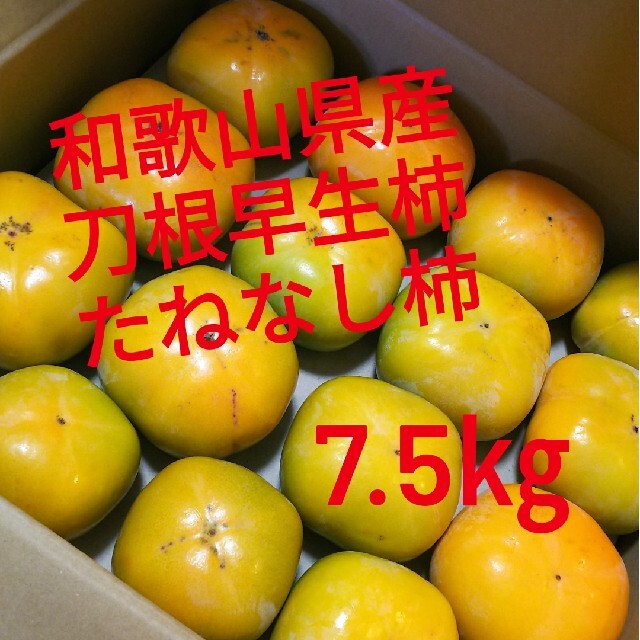 和歌山県産　美味しい　たねなし柿　5kg 硬め　24