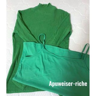 アプワイザーリッシェ(Apuweiser-riche)のタグ付き新品 Apuweiser-riche ハイネックシアーニット グリーン(カットソー(長袖/七分))