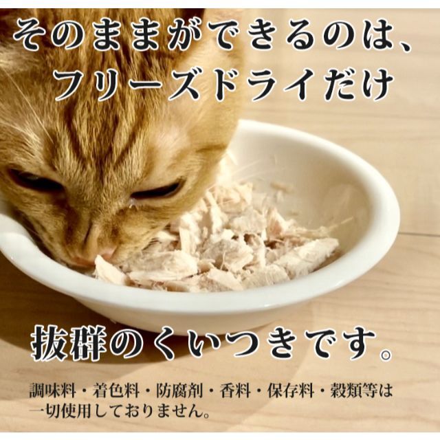 FOUR-FOODS フリーズドライ ササミ 国産 犬 猫 おやつ  その他のペット用品(猫)の商品写真