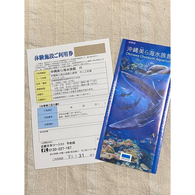 沖縄　美ら海水族館　チケット　大人3名　小中学生1名　(ポストカード付き)