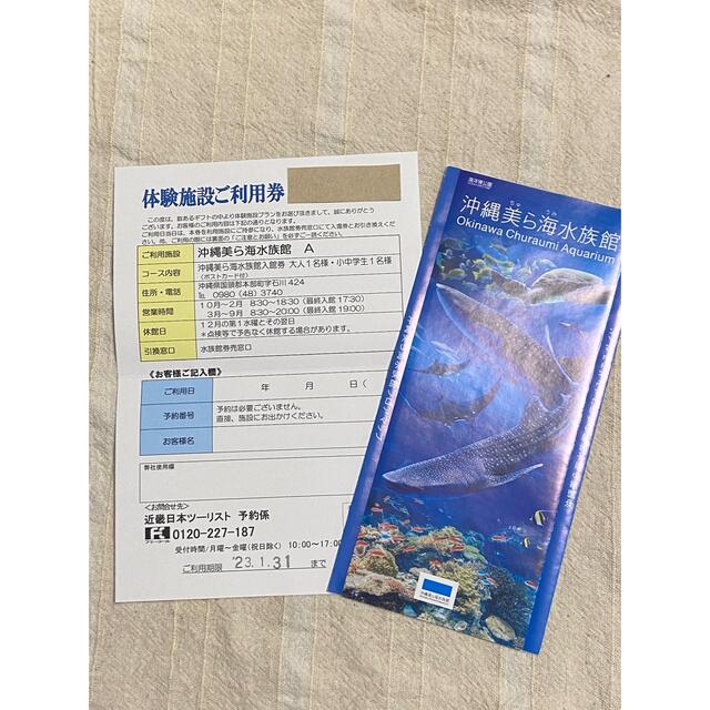 沖縄　美ら海水族館　チケット　大人3名　小中学生1名　(ポストカード付き)