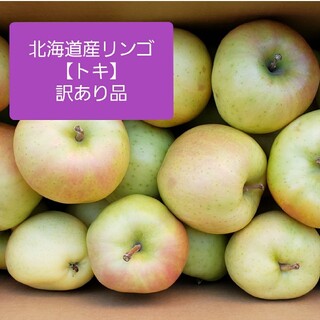 北海道産リンゴ【トキ】訳あり品　約１０キロ(フルーツ)