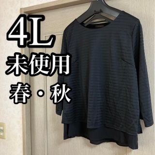 レディース　カットソー　4L【即日発送】【匿名配送】(カットソー(長袖/七分))