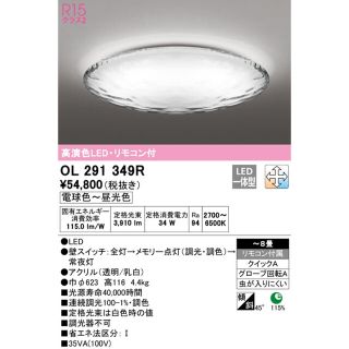 LED天井照明　オーデリック　OL291349R(天井照明)