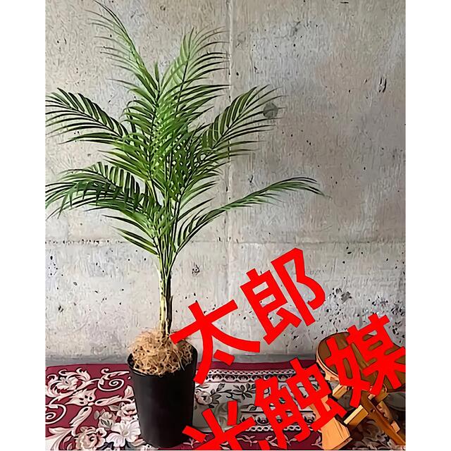 光触媒 人工観葉植物 ウォールグリーン フェイク フラワー アレカヤシ