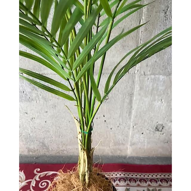 光触媒 人工観葉植物 ウォールグリーン フェイク フラワー アレカヤシ