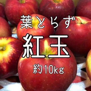 青森りんご 葉とらず 紅玉 約10kg(フルーツ)