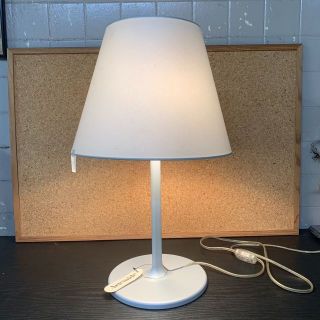 Artemide☆14万円 MELAMPO TERRA アルテミデ フロア