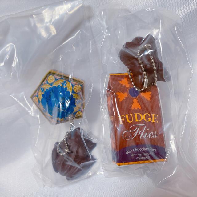 USJ(ユニバーサルスタジオジャパン)のハリーポッター トリートコレクション ハエヌガー 蛙チョコレート ガチャ エンタメ/ホビーのおもちゃ/ぬいぐるみ(キャラクターグッズ)の商品写真