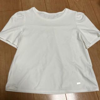 フォクシー(FOXEY)の美品　foxey フォクシー　Tシャツ　カットソー(カットソー(半袖/袖なし))