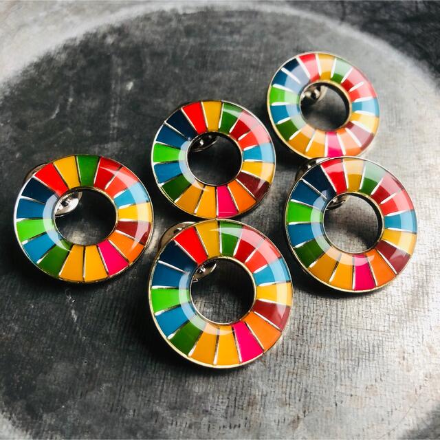 【国連本部純正品】5点セット　SDGs  ピンバッジ　【新品未使用】