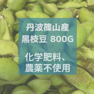 丹波篠山産　黒枝豆　800g  さやのみ 農薬化学肥料不使用(野菜)