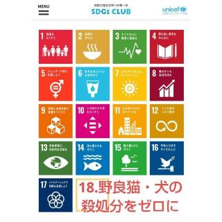 嬉しい楽しい大好きが一杯(ΦωΦ)ここから検索　猫　#みんな集まれネコの森　日本(ペットフード)