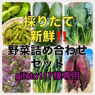 採れたて　旬のおやさいセット‼️(野菜)