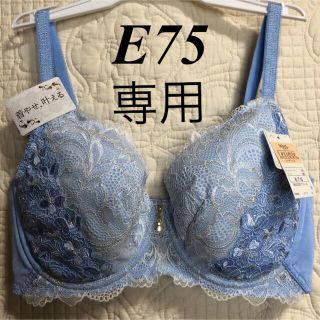 Wing/Wacoal ウイング/ワコール レシアージュ ブラジャー E75